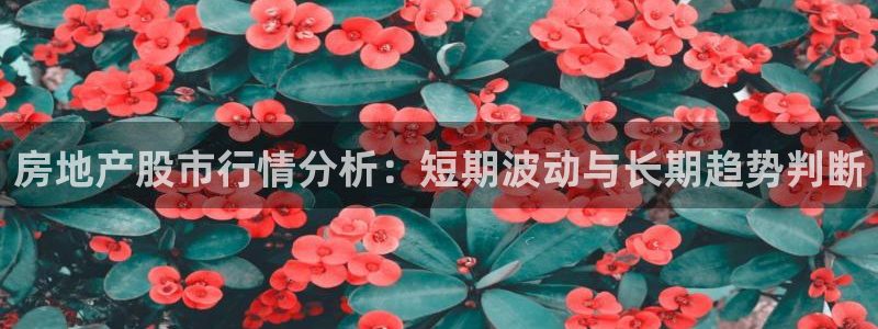 新宝5注册链接：房地产股市行情分析：短期波动与长期趋势判断