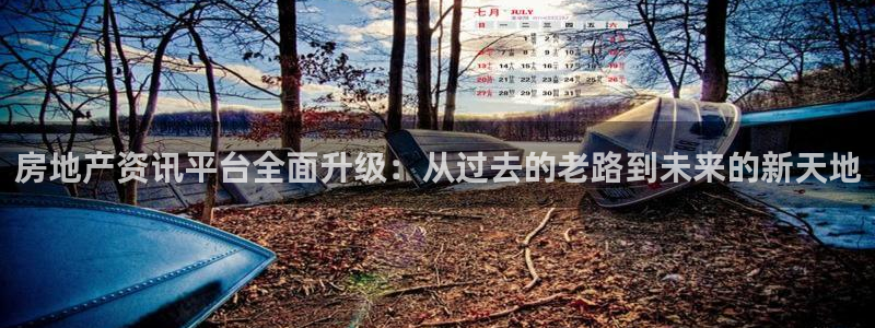 新宝5导师：房地产资讯平台全面升级：从过去的老路到未来的新天