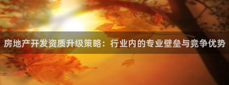 新宝rc_5w：房地产开发资质升级策略：行业内的专业壁垒与竞