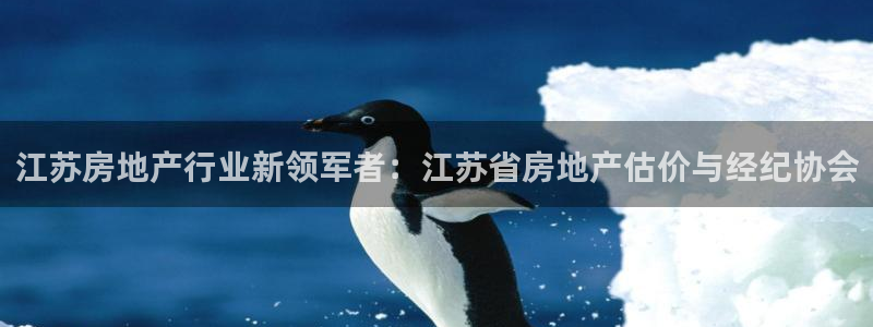 新宝5登录霸：江苏房地产行业新领军者：江苏省房地产估价与经纪