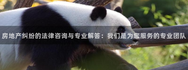 新宝5娱乐经：房地产纠纷的法律咨询与专业解答：我们是为您服务