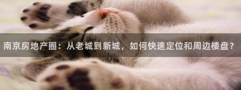 新宝5登录网址：南京房地产圈：从老城到新城，如何快速定位和周