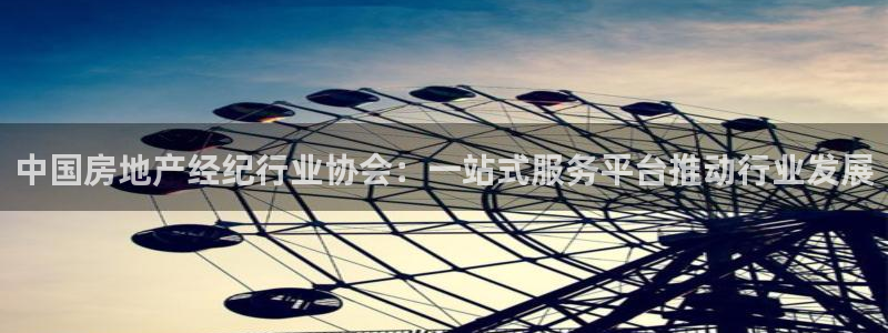 新宝5日：中国房地产经纪行业协会：一站式服务平台推动行业发展