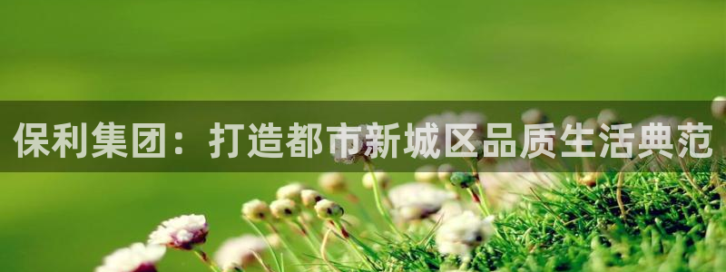 新宝5唯一：保利集团：打造都市新城区品质生活典范