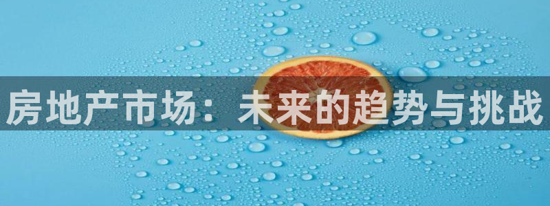 新宝5浗维33 300：房地产市场：未来的趋势与挑战