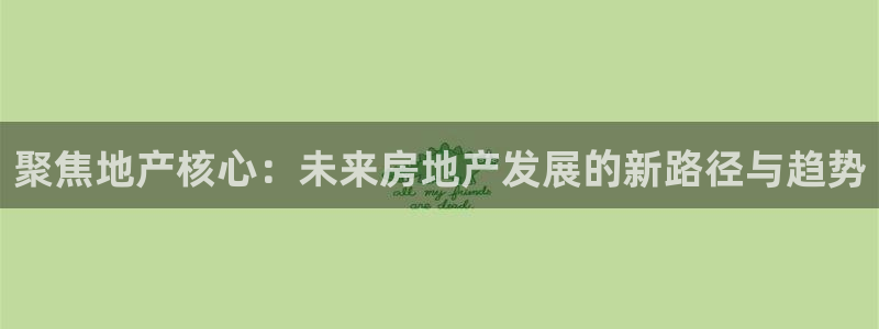 新宝堂新会陈皮5年：聚焦地产核心：未来房地产发展的新路径与趋