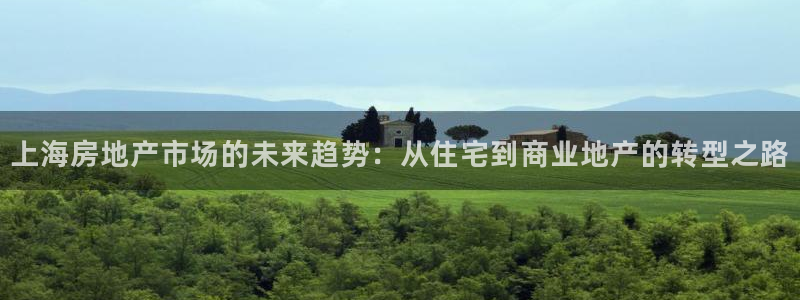 新宝5下载测试：上海房地产市场的未来趋势：从住宅到商业地产的