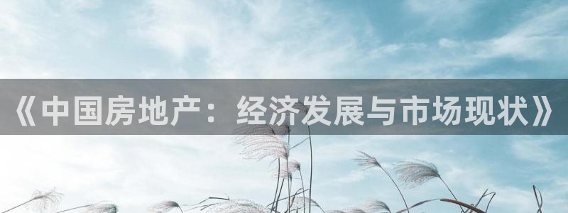 老新宝5授权登录：《中国房地产：经济发展与市场现状》