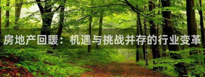 新宝5娱乐注：房地产回暖：机遇与挑战并存的行业变革