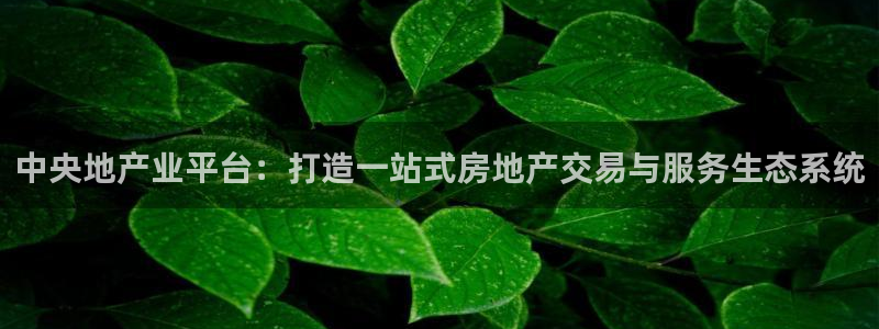 新宝5注册流程：中央地产业平台：打造一站式房地产交易与服务生