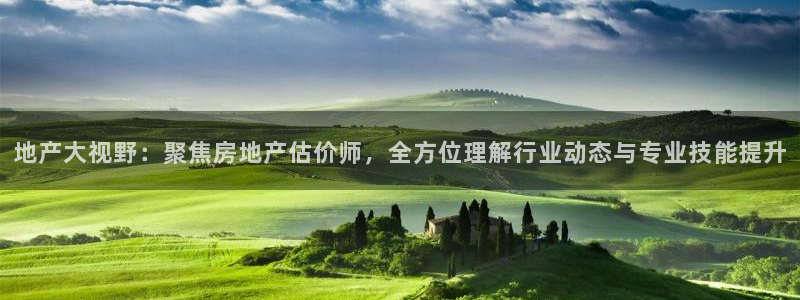 p5r新宝魔：地产大视野：聚焦房地产估价师，全方位理解行业动