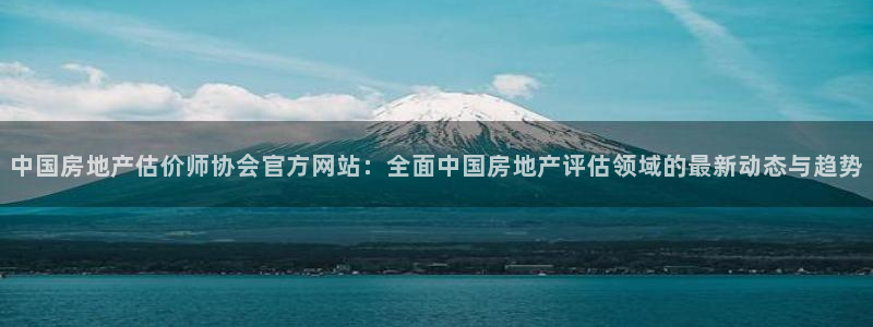 新宝5月：中国房地产估价师协会官方网站：全面中国房地产评估领
