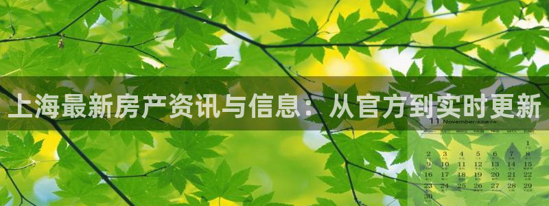 新宝5注册平台：上海最新房产资讯与信息：从官方到实时更新