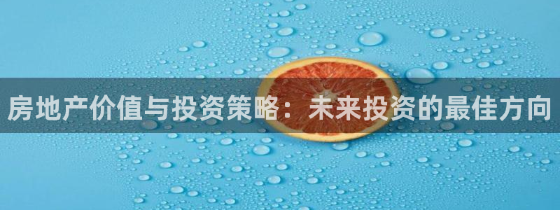 新宝新5：房地产价值与投资策略：未来投资的最佳方向