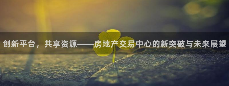 新宝5app手机下载：创新平台，共享资源——房地产交易中心的