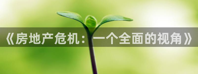 新宝rm5：《房地产危机：一个全面的视角》