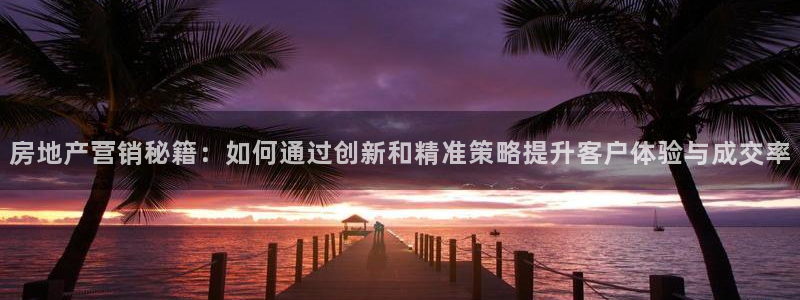 新宝5公司：房地产营销秘籍：如何通过创新和精准策略提升客户体