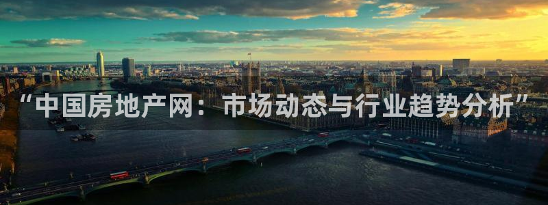 新宝3得74OO5：“中国房地产网：市场动态与行业趋势分析”