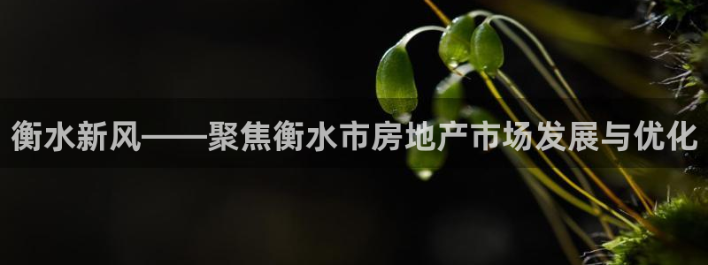 新宝5卫74OOO5：衡水新风——聚焦衡水市房地产市场发展与