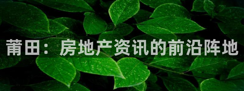 新宝5娱乐手机登录：莆田：房地产资讯的前沿阵地