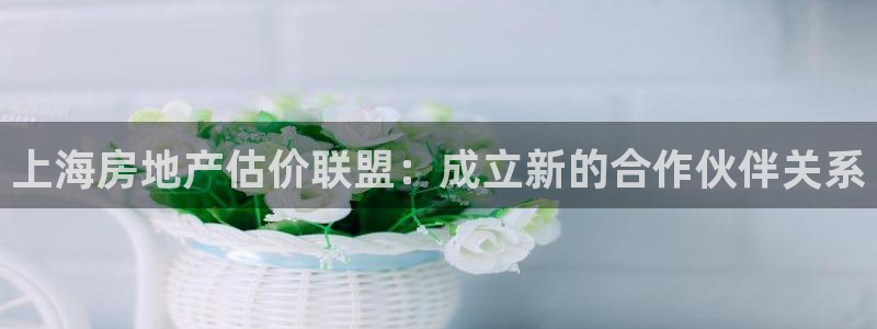 新宝5源码：上海房地产估价联盟：成立新的合作伙伴关系
