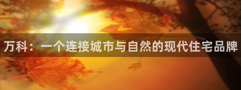 新宝5 唯一：万科：一个连接城市与自然的现代住宅品牌