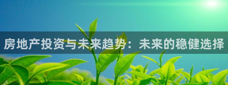新宝5网址：房地产投资与未来趋势：未来的稳健选择