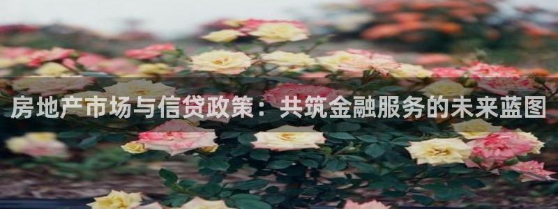 新宝5内部：房地产市场与信贷政策：共筑金融服务的未来蓝图