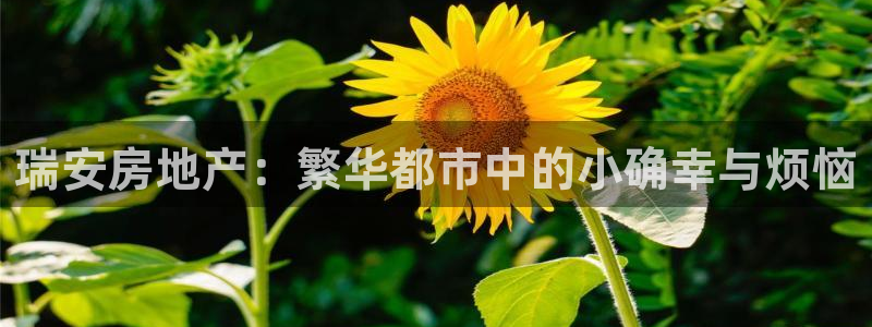 新宝5开好：瑞安房地产：繁华都市中的小确幸与烦恼