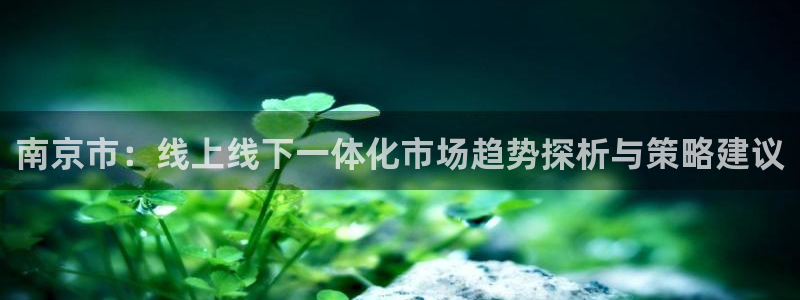新宝5娱乐如：南京市：线上线下一体化市场趋势探析与策略建议