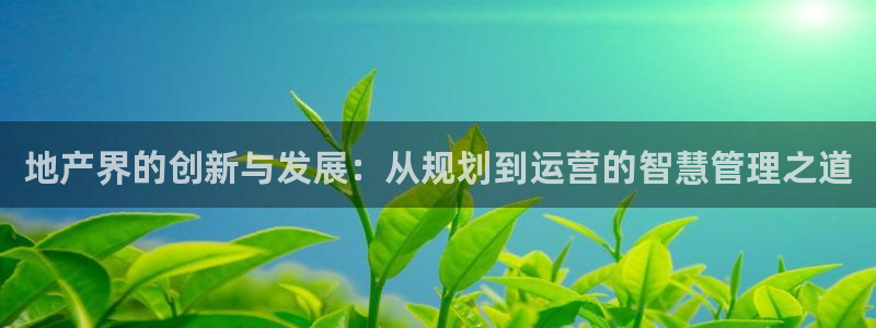 股票5G宝新：地产界的创新与发展：从规划到运营的智慧管理之道