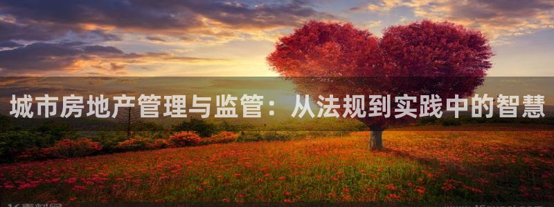 新宝5平台登录：城市房地产管理与监管：从法规到实践中的智慧