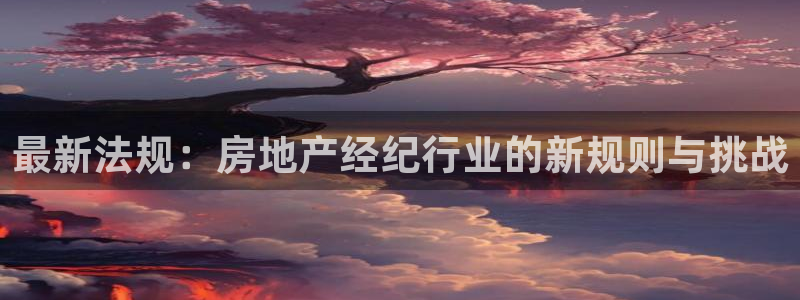新宝5 唯一：最新法规：房地产经纪行业的新规则与挑战