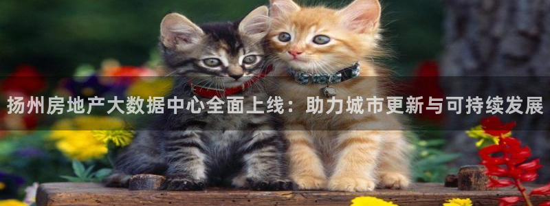 新宝5-测速：扬州房地产大数据中心全面上线：助力城市更新与可