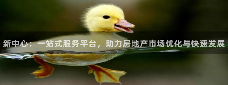 新宝5注册账号：新中心：一站式服务平台，助力房地产市场优化与