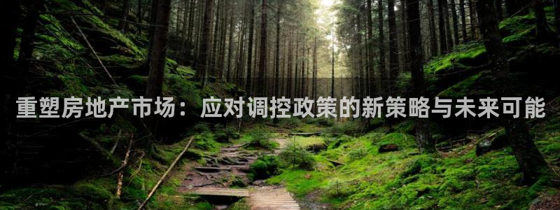 新宝b2O5O5O：重塑房地产市场：应对调控政策的新策略与未