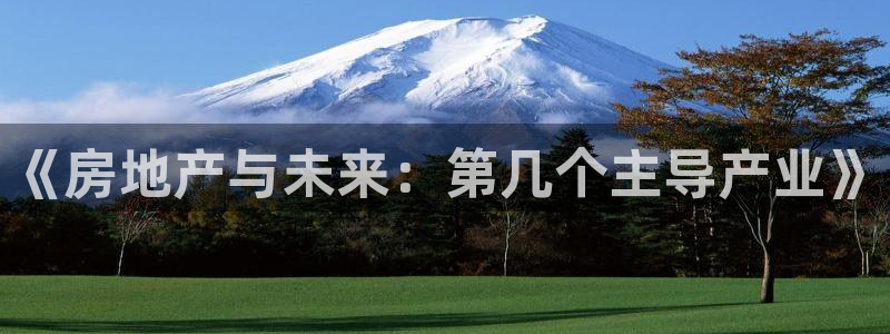 新宝5测速下载：《房地产与未来：第几个主导产业》