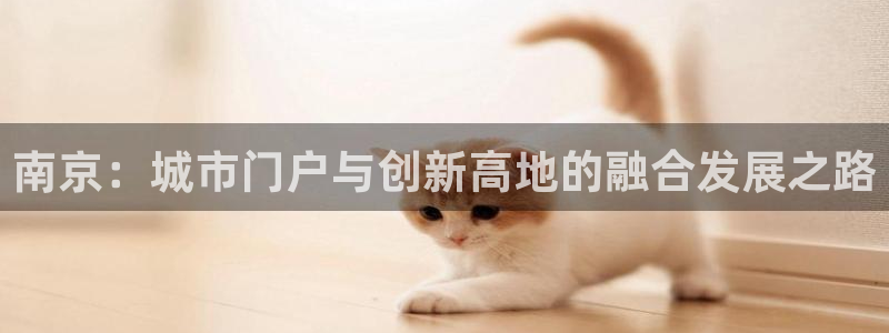 新宝5褚74OOO5：南京：城市门户与创新高地的融合发展之路