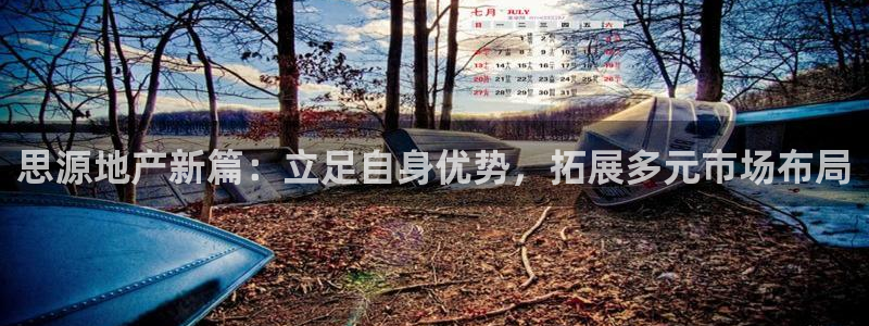 新宝5巅峰：思源地产新篇：立足自身优势，拓展多元市场布局