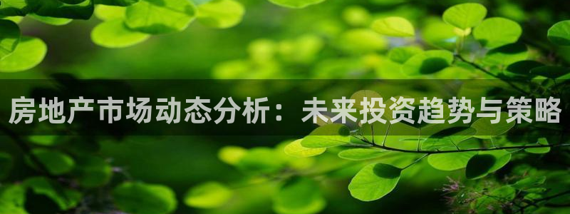 新宝5后：房地产市场动态分析：未来投资趋势与策略