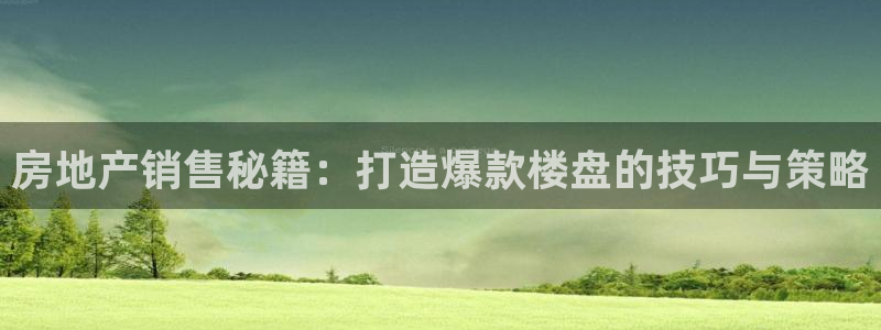 新宝G5：房地产销售秘籍：打造爆款楼盘的技巧与策略