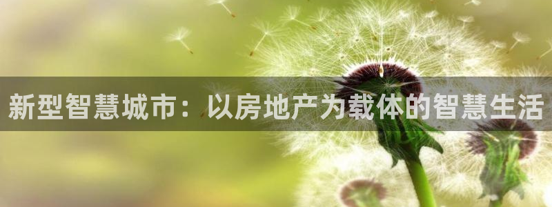 新宝那2O5O5O：新型智慧城市：以房地产为载体的智慧生活