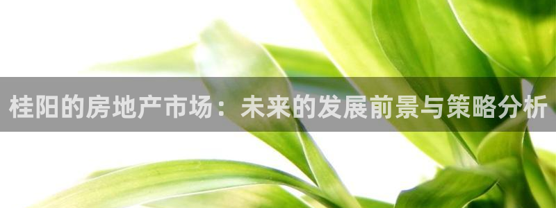 新宝5为啥开：桂阳的房地产市场：未来的发展前景与策略分析