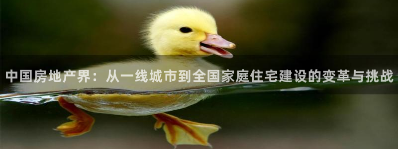 新宝5挂机软件：中国房地产界：从一线城市到全国家庭住宅建设的