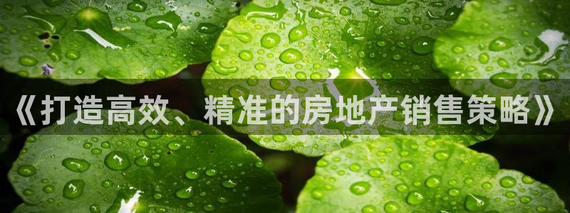 新宝5注册首页：《打造高效、精准的房地产销售策略》