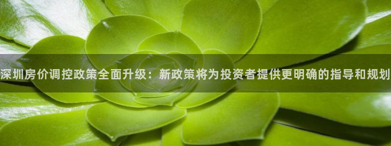 新宝5导师：深圳房价调控政策全面升级：新政策将为投资者提供更