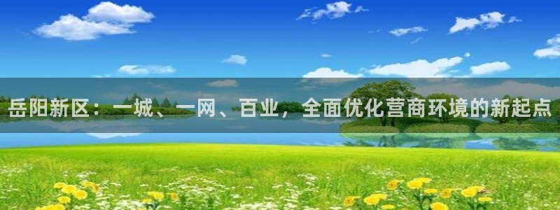 新宝5：岳阳新区：一城、一网、百业，全面优化营商环境的新起点