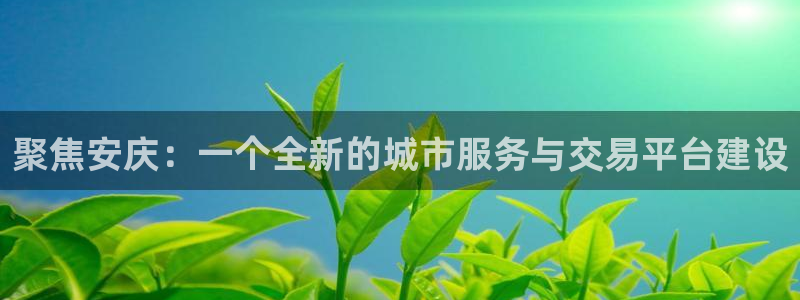 新宝5-：聚焦安庆：一个全新的城市服务与交易平台建设