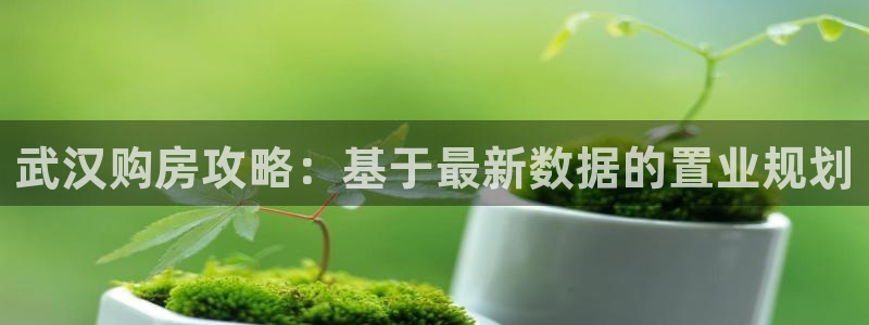 新宝5飞355051：武汉购房攻略：基于最新数据的置业规划