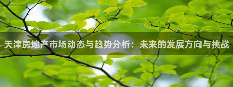 新宝5下载官方：天津房地产市场动态与趋势分析：未来的发展方向